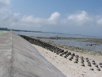 Thumbs/tn_2009_summertravel-penghu_153_20150203_1357602148.jpg