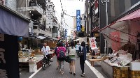 Thumbs/tn_2015_summertravel-tokyo_170_20150720_1090829920.jpg