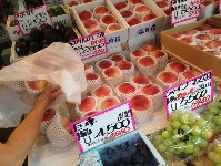 Thumbs/tn_2015_summertravel-tokyo_247_20150720_1300149460.jpg