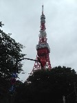 Thumbs/tn_2015_summertravel-tokyo_257_20150720_1834976859.jpg